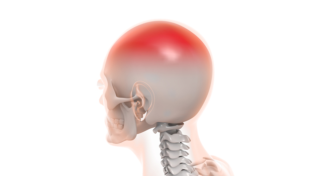 頭蓋骨｜頭｜頭痛/片頭痛｜胃/内蔵｜看護士/補助 - 医療/病気/介護/病院/人物/写真/イラスト/無料ダウンロード