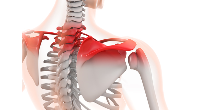 肩こり｜赤い｜内部/透明｜白衣/ユニフォーム｜医療施設/大型病院 - 医療/病気/介護/病院/人物/写真/イラスト/無料ダウンロード