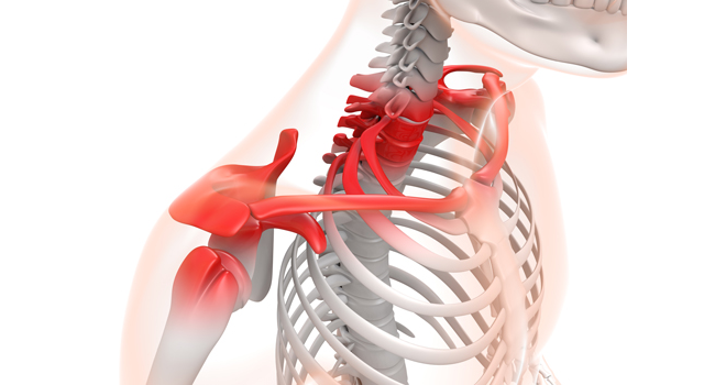 赤く｜肩こり｜骸骨/調べる｜炎症/痛み｜血液/検査 - 医療/病気/介護/病院/人物/写真/イラスト/無料ダウンロード
