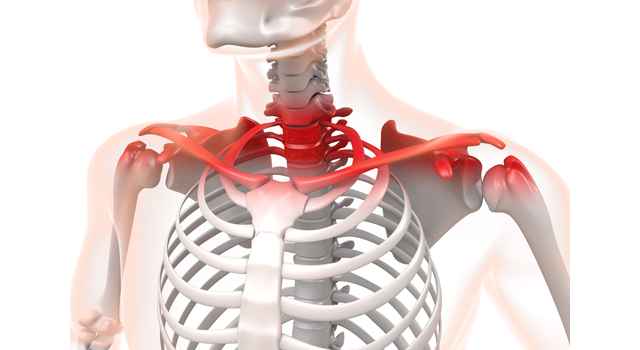 肩が凝る｜内部｜骨/赤くなった｜治療/手術｜手術台/ドクター - 医療/病気/介護/病院/人物/写真/イラスト/無料ダウンロード