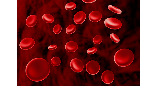 赤血球｜人体｜血液/細胞｜頭蓋骨/脳｜メス/医療ミス - 医療/病気/介護/病院/人物/写真/イラスト/無料ダウンロード