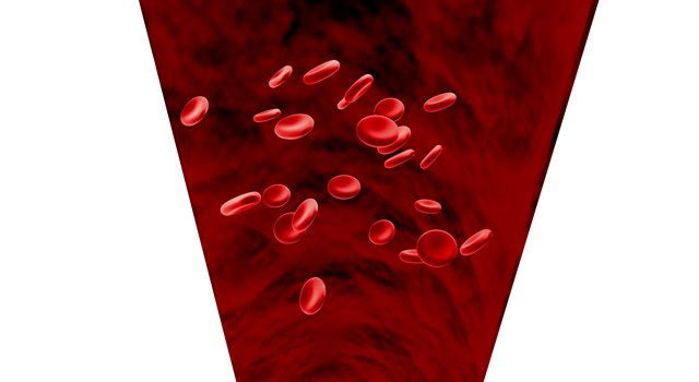 血液｜赤血球｜医療/ウイルス｜血液/循環｜お年寄り/老人 - 医療/病気/介護/病院/人物/写真/イラスト/無料ダウンロード