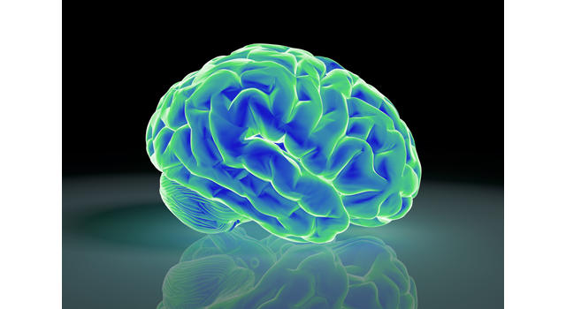 脳｜解析｜医療/医学｜DNA/遺伝子｜骨/関節 - 医療/病気/介護/病院/人物/写真/イラスト/無料ダウンロード