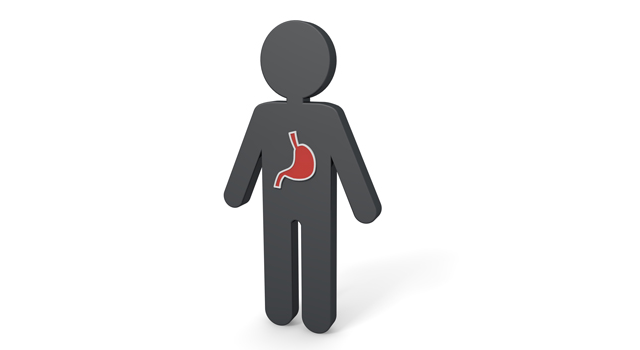 胃袋｜人体｜赤色/胃｜血液/循環｜脳/ブレイン - 医療/病気/介護/病院/人物/写真/イラスト/無料ダウンロード