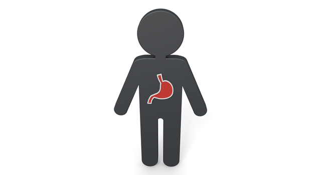 人間｜胃｜胃袋/ストマック｜粉砕/折れる｜人体/解説 - 医療/病気/介護/病院/人物/写真/イラスト/無料ダウンロード