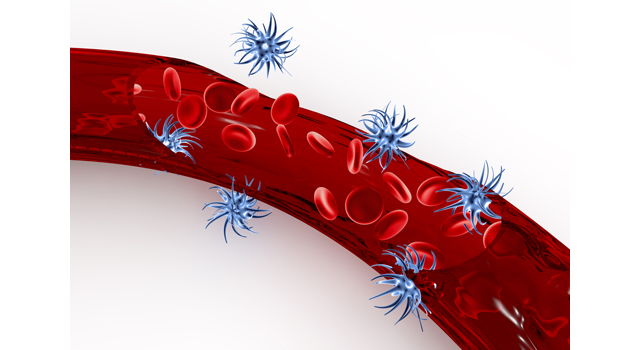 血管｜細胞｜ウイルス/ヘモグロビン｜血液/循環｜医療施設/大型病院 - 医療/病気/介護/病院/人物/写真/イラスト/無料ダウンロード