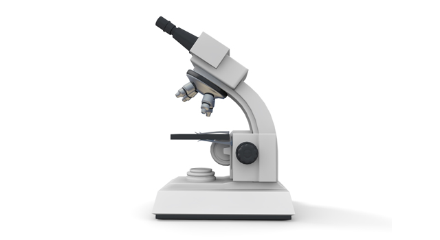 調査｜顕微鏡｜拡大/科学/電子顕微鏡｜血液/循環｜内蔵/臓器 - 医療/病気/介護/病院/人物/写真/イラスト/無料ダウンロード