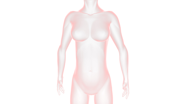 ボディ｜女性｜体/裸｜医療器具/テクノロジー｜人体/解説 - 医療/病気/介護/病院/人物/写真/イラスト/無料ダウンロード