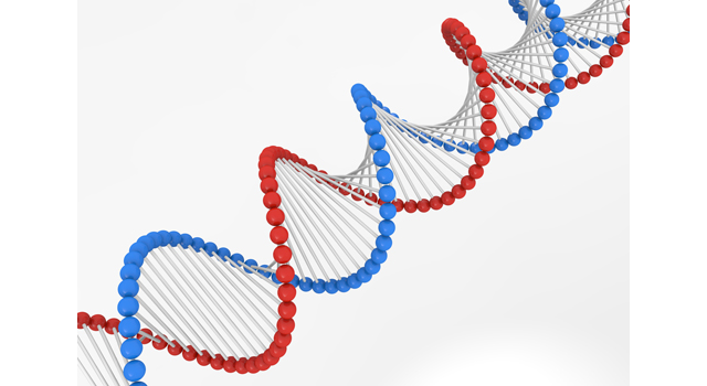 遺伝子配列｜遺伝子組換え｜クローン/DNA｜血液/循環｜薬/キャラクター - 医療/病気/介護/病院/人物/写真/イラスト/無料ダウンロード