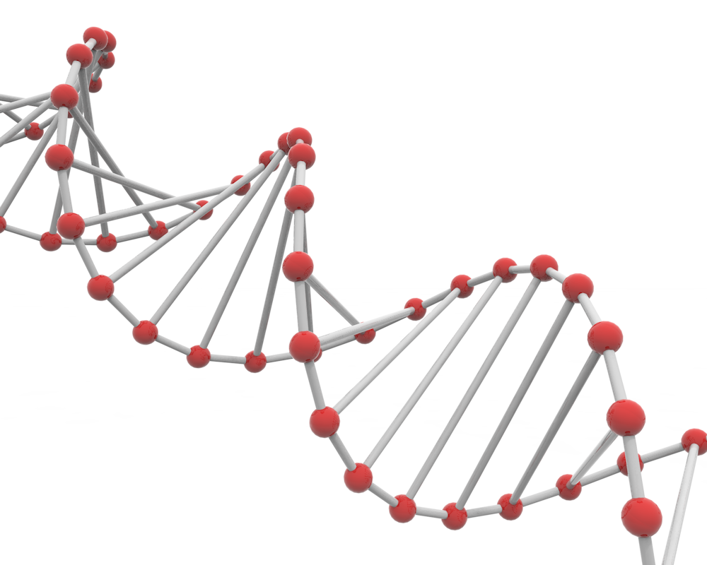 細胞｜再生｜治療 - 医療/病気/介護/病院/人物/写真/イラスト/無料ダウンロード
