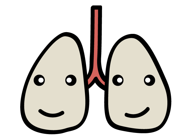 肺 | 内蔵 | 体 - 医療/病院/人物/写真/クリップアート/フリー素材/介護/福祉