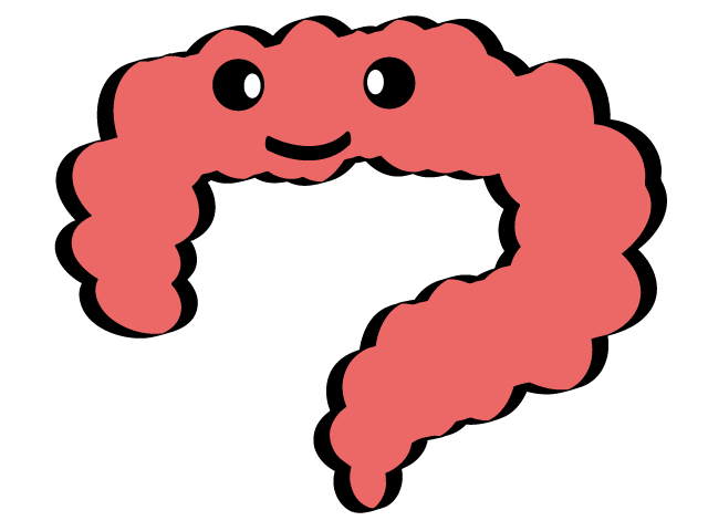 腸 | 内蔵 | 消化 - 医療/病院/人物/写真/クリップアート/フリー素材/介護/福祉