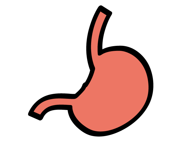 胃 | 内部 - 医療/病院/人物/写真/クリップアート/フリー素材/介護/福祉