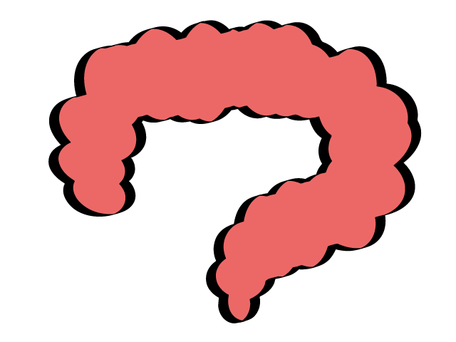 腸 | 内蔵 - 医療/病院/人物/写真/クリップアート/フリー素材/介護/福祉