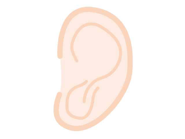耳 - 医療/病院/人物/写真/クリップアート/フリー素材/介護/福祉