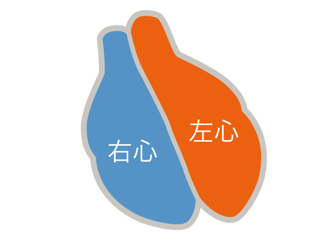 心臓 | 右心 | 左心 - 医療/病院/人物/写真/クリップアート/フリー素材/介護/福祉