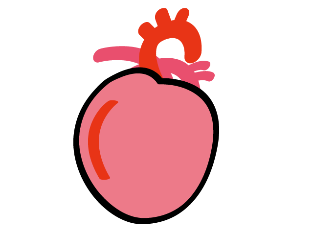 心臓 | しんぞう - 医療/病院/人物/写真/クリップアート/フリー素材/介護/福祉