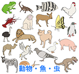 動物・魚・虫