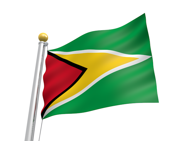 ガイアナ - ナショナルフラッグ / 世界地図 / イラスト / 写真 / 国旗 / フリー素材