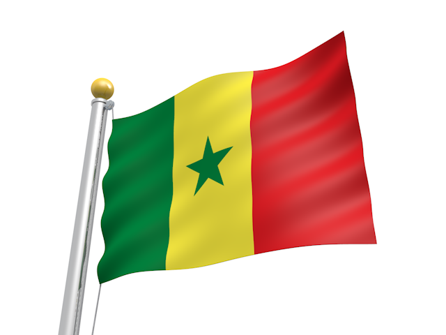 セネガル - ナショナルフラッグ / 世界地図 / イラスト / 写真 / 国旗 / フリー素材