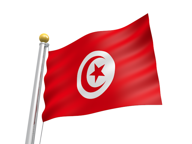 チュニジア - ナショナルフラッグ / 世界地図 / イラスト / 写真 / 国旗 / フリー素材