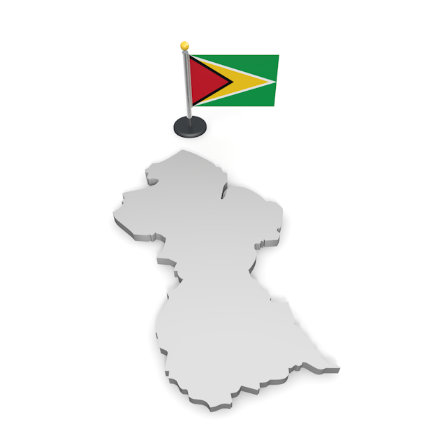 ガイアナ - ナショナルフラッグ / 世界地図 / イラスト / 写真 / 国旗 / フリー素材